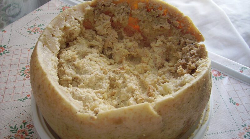 Casu Marzu