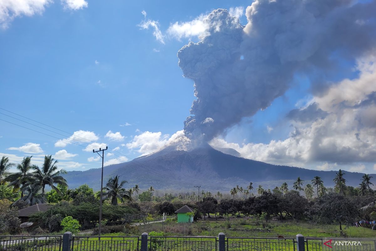 Media Asing Soroti Erupsi Gunung Lewotobi: Cek Potensi Tsunami