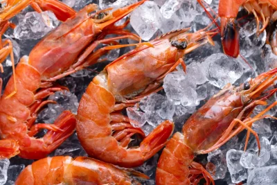 Logam Radioaktif Pabrik Indonesia Picu Penarikan Udang Di AS
