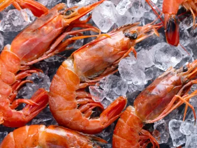 Logam Radioaktif Pabrik Indonesia Picu Penarikan Udang Di AS