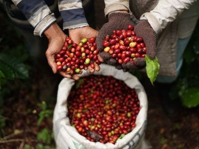 Kopi Dan Kakao Melonjak Bebani Impor Negara Berkembang