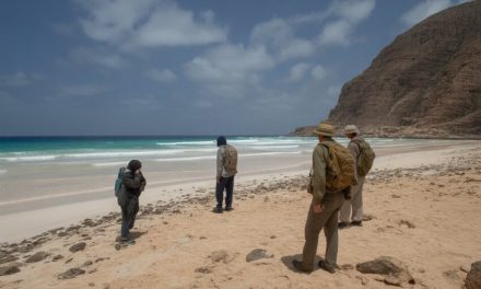 Wisatawan Terjebak Di Pulau Terpencil Usai Status Darurat