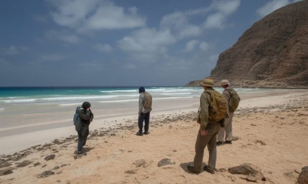 Wisatawan Terjebak Di Pulau Terpencil Usai Status Darurat