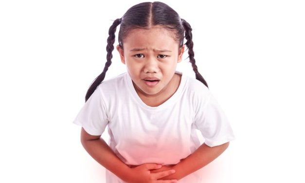 Ascariasis Infeksi Cacing Gelang Masih Jadi Masalah Kesehatan