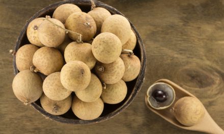 Kelengkeng Buah Kecil Yang Manis Dengan Segudang Manfaat