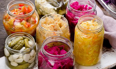 Memahami Jenis Makanan Fermentasi Beserta Khasiatnya
