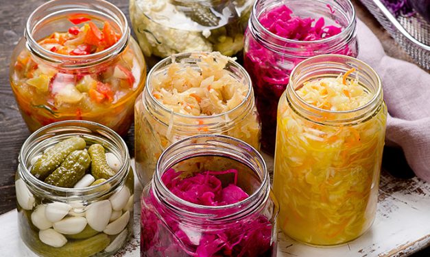 Memahami Jenis Makanan Fermentasi Beserta Khasiatnya