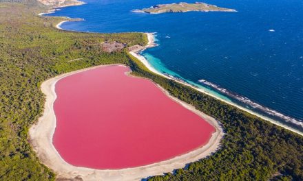 Fakta Unik Danau Hillier, Misteri Danau Merah Muda Di Australia