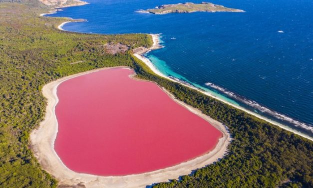 Fakta Unik Danau Hillier, Misteri Danau Merah Muda Di Australia