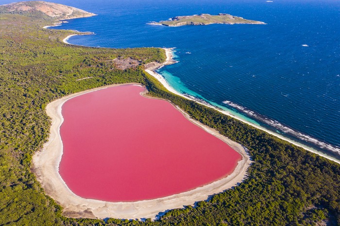 Fakta Unik Danau Hillier, Misteri Danau Merah Muda Di Australia