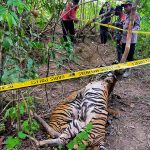 Pemerintah Melarang Perburuan Spesies Langka Di Alam