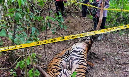 Pemerintah Melarang Perburuan Spesies Langka Di Alam